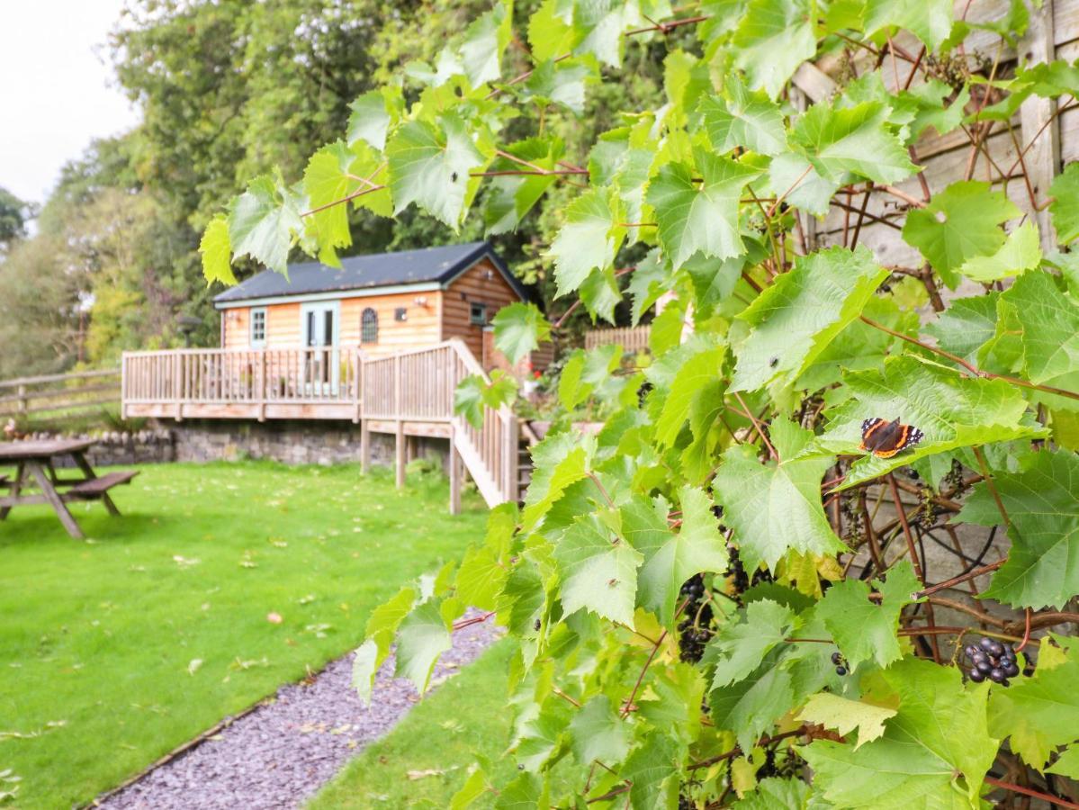 Chateau Petit Caersws Exteriör bild